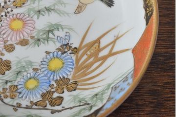 明治〜大正　九谷焼　花鳥図　色絵　小皿5枚セット(和食器)(R-052127)