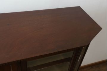 イギリスアンティーク　花をモチーフにした象嵌が非常に美しいキャビネット(飾り棚、収納棚、キュリオケース)(R-052273)