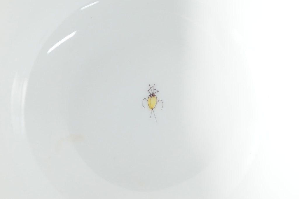 ハンガリー　HEREND　ヘレンド　フルーツコンポジション　カップ&ソーサー3客セット(洋食器)(R-052283)