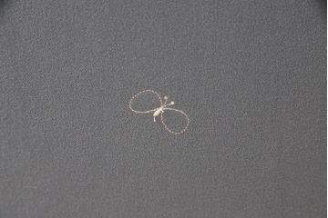 中古　特注　オーダーメイド　ミナペルホネン生地　tambourine(タンバリン)　choucho(ちょうちょ)　1人掛けソファ(定価約50万円)(ラウンジチェア、イージーチェア、アームソファ)(R-052303)