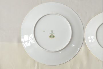 ドイツ　BAVARIA　TIRSCHENREUTH　チュリーンなど10点(スープ皿、オーバルプレート、キャセロール、洋食器)(R-052447)