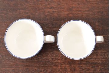 ROYAL COPENHAGEN　ロイヤルコペンハーゲン　FAJANCE　カップ&ソーサー2客(箱付き、洋食器)(R-052456)