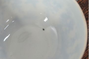 大正〜昭和初期　大日本庁桐造　花鳥図印判　カップ&ソーサー5客・カップ1点(R-052477)