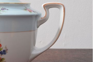 オールドノリタケ　花柄ハンドペイント　ティーポット(洋食器)(R-052500)