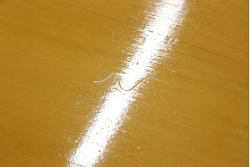 中古　美品　手造り国産家具　総ヒノキ材　木の美しさが感じられるシンプルなダイニングテーブル(作業台、食卓)(R-052612)
