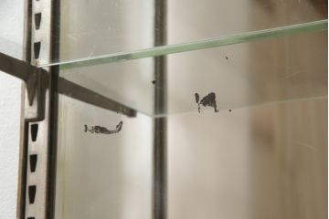 フランスアンティーク　インダストリアル　メタルフレームが無骨でかっこいいガラスケース(ショーケース、収納棚、飾り棚、キャビネット)(R-052731)