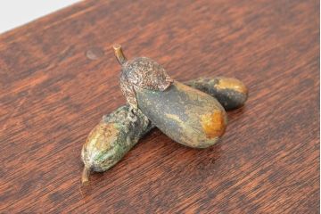 平安宗和　茄子文鎮(銅製、書道具、作家物)(R-052743)