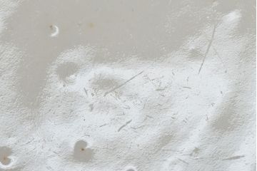 幕末〜明治　色絵染付　蓋茶碗5客(和食器)(R-052810)
