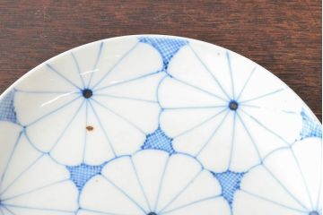江戸期　古伊万里　菊花尽し　染付五寸五分皿5枚セット(和食器、小皿)(R-052855)