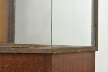 フランスアンティーク　六角形のフォルムが珍しい!フレームに真鍮が使われているガラスケース(ショーケース、陳列棚、店舗什器)(R-052965)