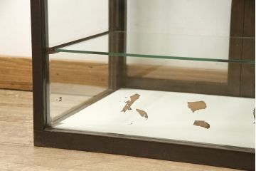 和製アンティーク　レトロな佇まいが魅力的なガラスケース(ショーケース、店舗什器)(R-053074)