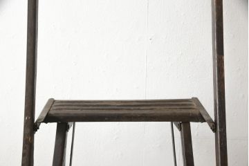 フランスアンティーク　スチール　一風変わったデザインが面白い脚立(ラダー、ステップ、飾り台)(R-053089)