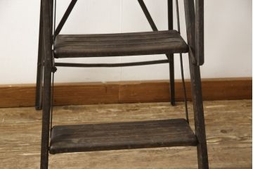 フランスアンティーク　スチール　一風変わったデザインが面白い脚立(ラダー、ステップ、飾り台)(R-053089)