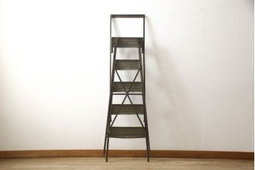 フランスアンティーク　スチール　一風変わったデザインが面白い脚立(ラダー、ステップ、飾り台)(R-053089)