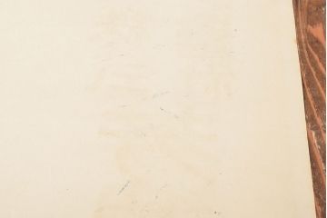 当時物　戦前　金星サイダー　ポスター(昭和レトロ、アンティーク)(R-053109)