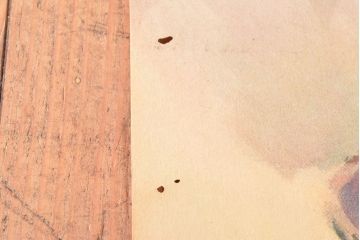 当時物　昭和初期　キリンビールポスター(多田北鳥、麒麟麦酒、精版印刷会社)(R-053111)