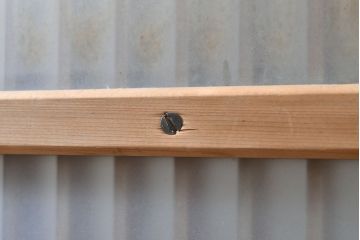 アンティーク建具　一風変わった凝ったつくりが魅力的なガラス戸1枚(引き戸、建具)(R-053127)