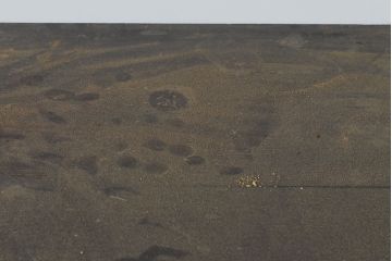 和製アンティーク　歴史を感じさせる佇まいが魅力的な時代箪笥(チェスト、引き出し、和タンス、収納箪笥)(R-053217)