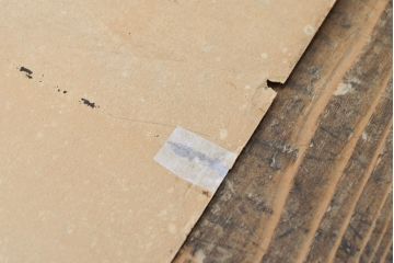 当時物　戦前　サクラビール　ポスター(サクラスタウト、広告、看板)(R-053240)
