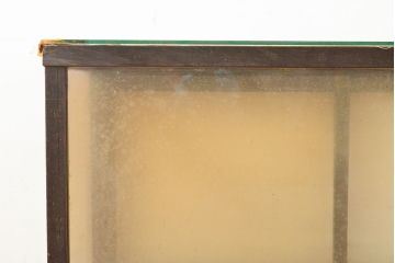 和製アンティーク　ケヤキ材　シンプルなデザインの卓上ガラスケース(ショーケース)(R-053261)