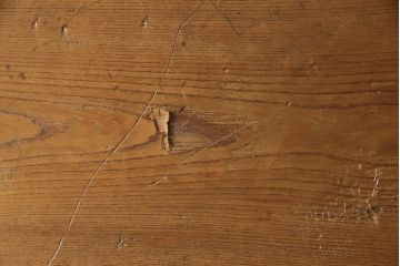アンティーク建具　明治大正期　総ケヤキ材　明るい色合いで上品な佇まいが魅力の蔵戸(玄関戸、玄関ドア、引き戸)(R-053270)