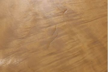 中古　美品　楓(カエデ)一枚板　特大サイズが目を引く座卓(ローテーブル)(R-053353)