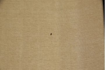 中古　北海道民芸家具　シックな大人空間におすすめの2人掛けソファ(2P、二人掛け、アームソファ)(R-053759)