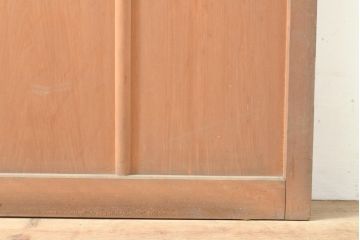 和製アンティーク　すりガラスがレトロな雰囲気を醸し出すガラス戸1枚(引き戸、建具)(R-053999)