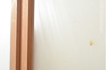 アンティーク建具　ナチュラルな雰囲気がかわいらしい木製扉(ドア、建具)(R-054001)