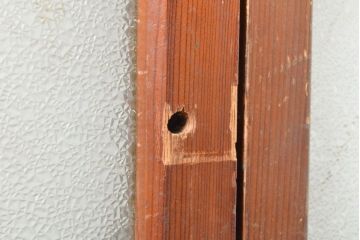 和製アンティーク　明るい木色がレトロな雰囲気を醸し出すガラス戸2枚セット(引き戸、建具)(R-054019)