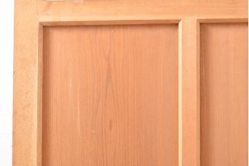  和製アンティーク　ナチュラルな風合いがあたたかみを感じる引き戸1枚(ガラス戸、建具)(R-054196)