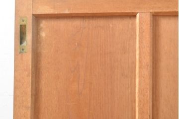  和製アンティーク　ナチュラルな風合いがあたたかみを感じる引き戸1枚(ガラス戸、建具)(R-054196)