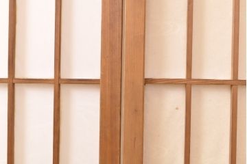 アンティーク建具　レトロな雰囲気の障子戸2枚(引き戸、建具)(R-054383)
