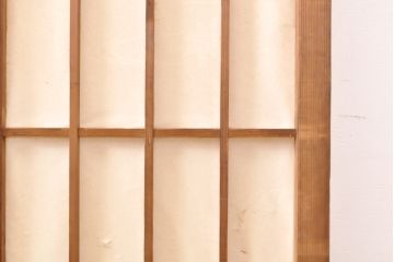 アンティーク建具　レトロな雰囲気の障子戸2枚(引き戸、建具)(R-054383)