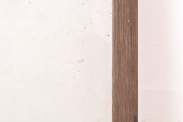 アンティーク建具　シンプルで取り入れやすいガラス戸1枚(引き戸、建具)(R-054385)