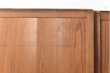 アンティーク建具　和の趣溢れる舞良戸2枚セット(板戸、帯戸、引き戸)(R-054457)