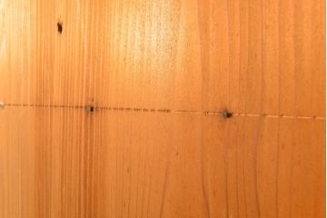 アンティーク建具　和の趣溢れる舞良戸2枚セット(板戸、帯戸、引き戸)(R-054457)