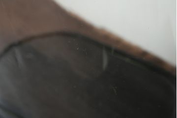 フランスアンティーク　中に入れるもので違った雰囲気を楽しめる!オーバル型ガラスドーム(グローブドマリエ、グローブ・ド・マリエ)(R-054681)
