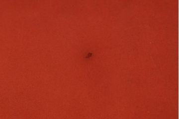 中古　美品　高級スペイン家具　GAMINTER　高級感ある佇まいが目を引く本革2.5人掛けソファ(レザーソファ、二人掛けソファ)(R-054908)