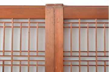 和製アンティーク　上品な和の趣漂うガラス戸2枚セット(引き戸、建具)(R-055075)