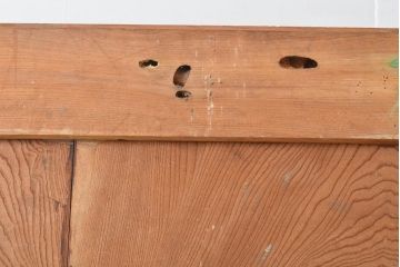 和製アンティーク　総ケヤキ材(欅)　時を経た味わいが魅力的な蔵戸1枚(引き戸、玄関戸、建具)(R-055125)