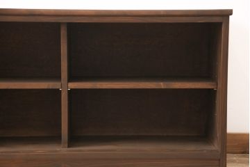 和製アンティーク　古建具リメイク　ケヤキの引き戸がいい味を出しているサイドボード(戸棚、収納棚、テレビ台、ローボード)(R-055134)