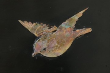 和製アンティーク　唐木　繊細な漆絵が美しい飾り棚　(R-055142)