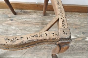 イギリスアンティーク　マホガニー材　繊細なレリーフが優雅な印象を高めるバルーンバックチェア(ダイニングチェア、椅子)(R-055200)