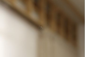 中古　美品　イタリア　SILIK(シリック)　ロココ調の細やかで豪華な彫刻が見事!存在感を放つウォールミラー(壁掛け鏡、姿見、ビンテージ)(R-055285)