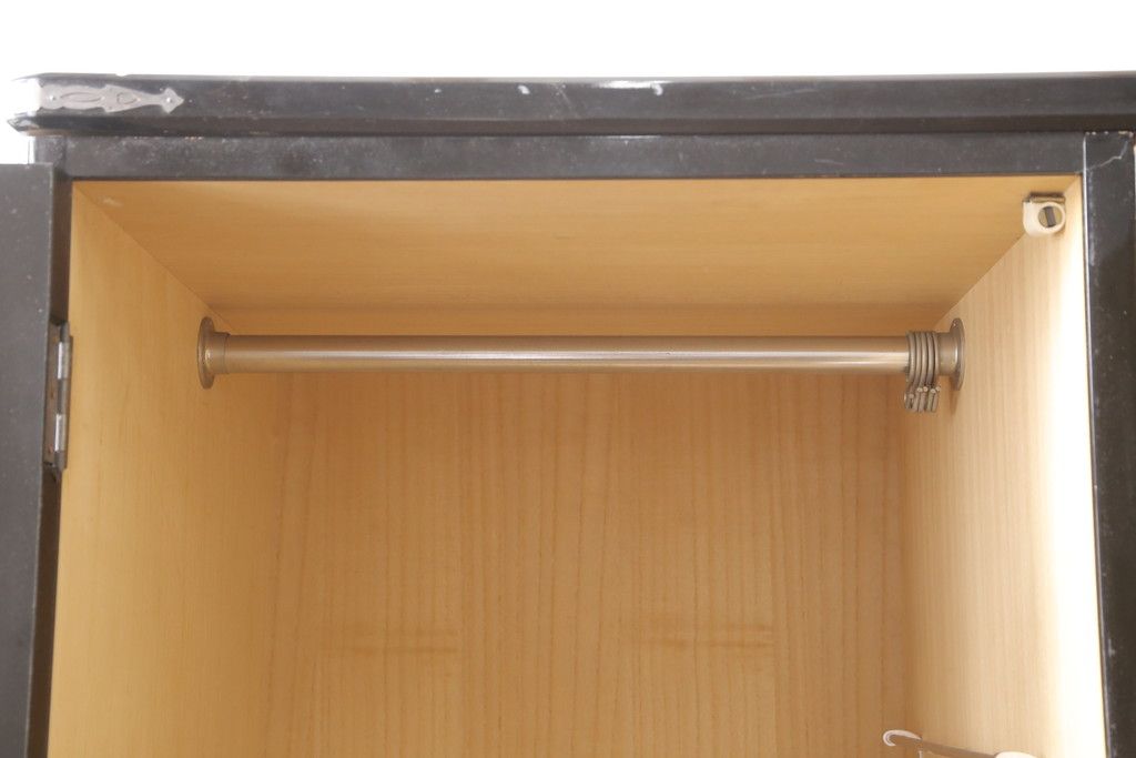 希少! 和製ビンテージ 尾形光琳? 紅白梅図を思わせる図柄が目を引く高級和箪笥(着物箪笥、衣装箪笥、ワードローブ、ヴィンテージ)(R-055691)