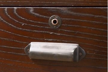 和製アンティーク　枠ケヤキ材　落ち着いた色合いが魅力的な薄型ワードローブ(収納棚、洋服タンス)(R-055778)