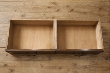 和製アンティーク　シックな色合いと品のある佇まいが魅力的な本箱(ブックケース、本棚、戸棚、収納棚)(R-055966)