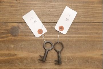 和製アンティーク　明治期　前面ケヤキ材　重厚感ある金具が立派な刀箪笥(時代箪笥、ローボード、ローチェスト、テレビ台)(R-056138)