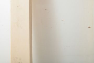 アンティーク建具　シンプルなデザインに古いドアハンドルが映える両開きドア1対(扉、玄関扉、ドア2枚セット)(R-056200)